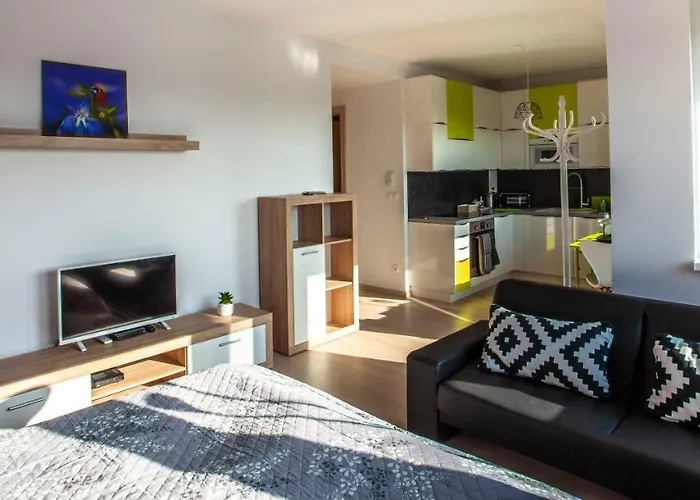 Air-conditioned View 24h Check-in Apartament